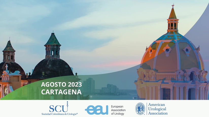 6. Láseres en endourología. -  Dr. Pablo Contreras.